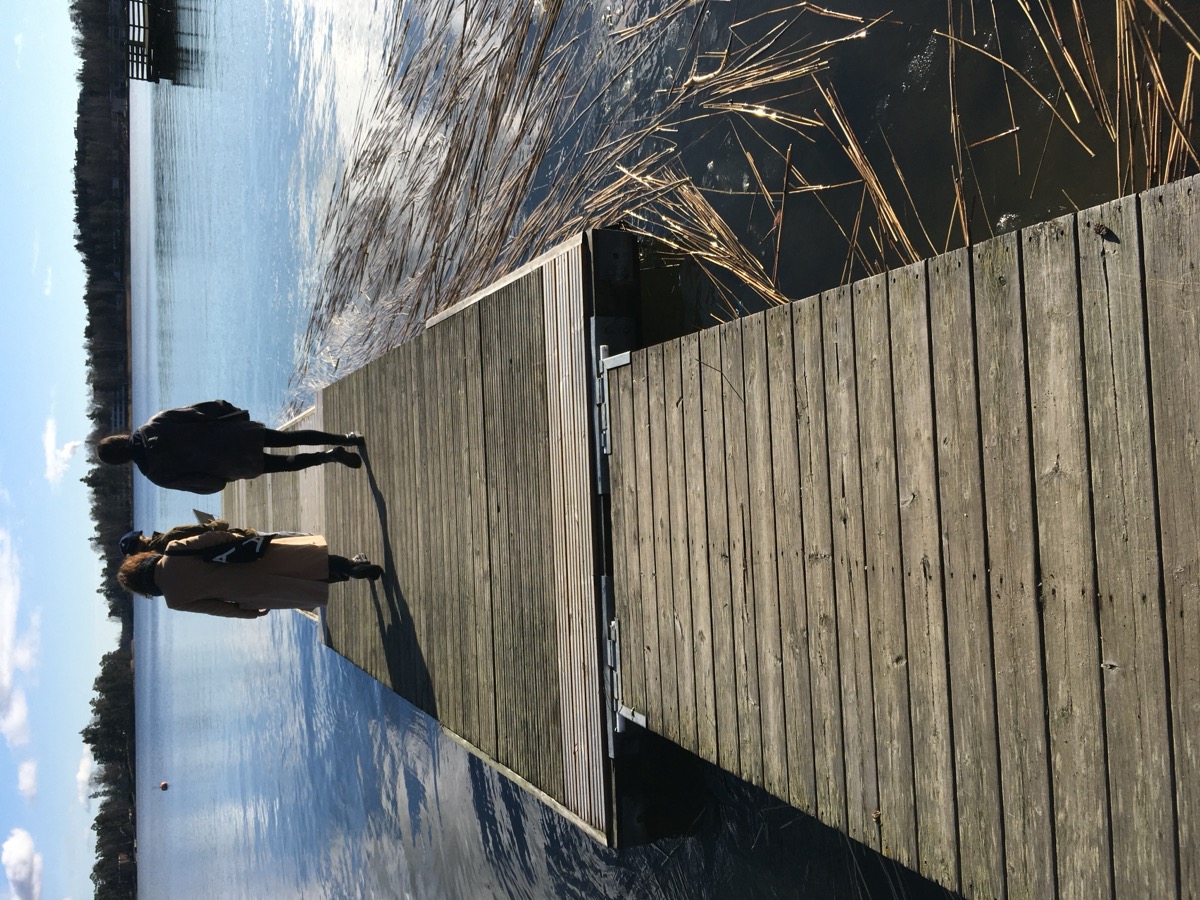 SKEP Project 2020 — image 2