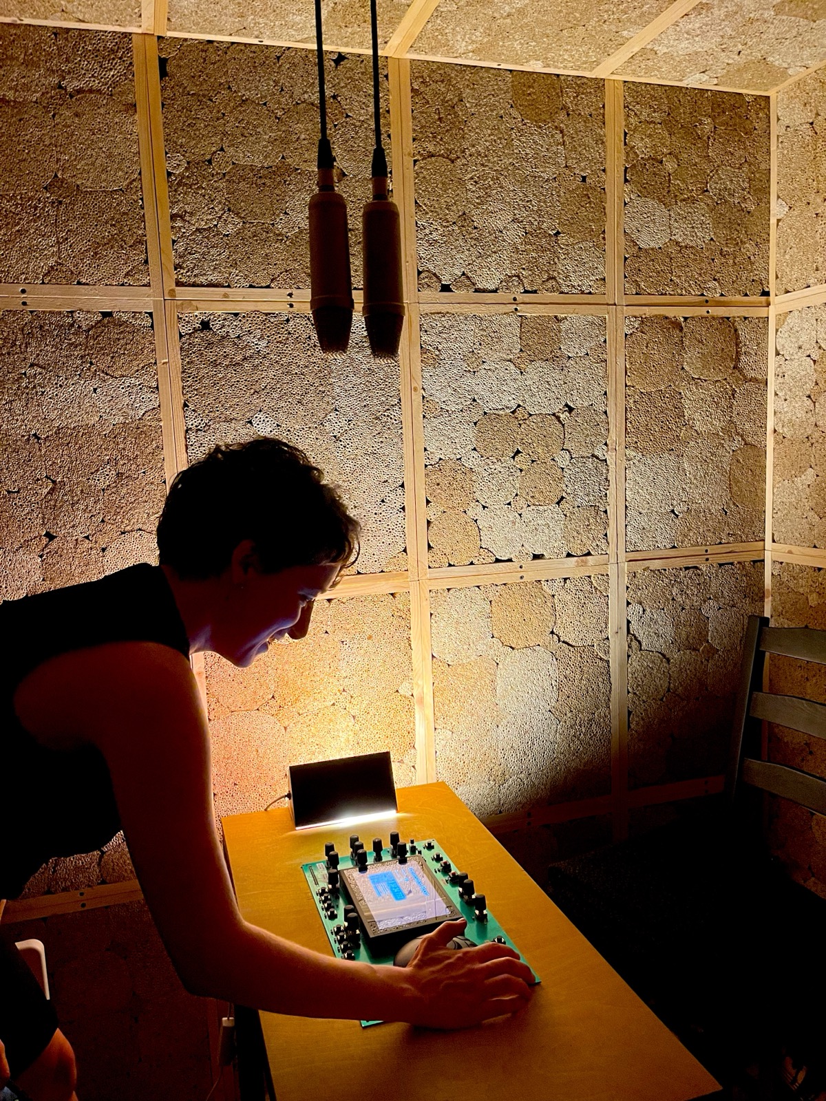 The Squirrel's Nest (Oravan Pesä) — image 1