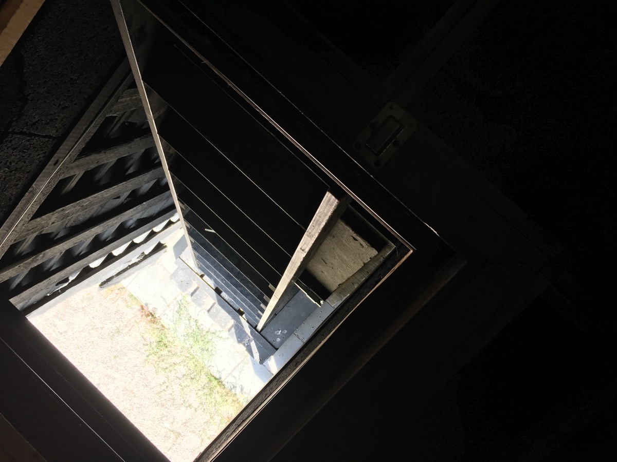 The Squirrel's Nest (Oravan Pesä) — image 6