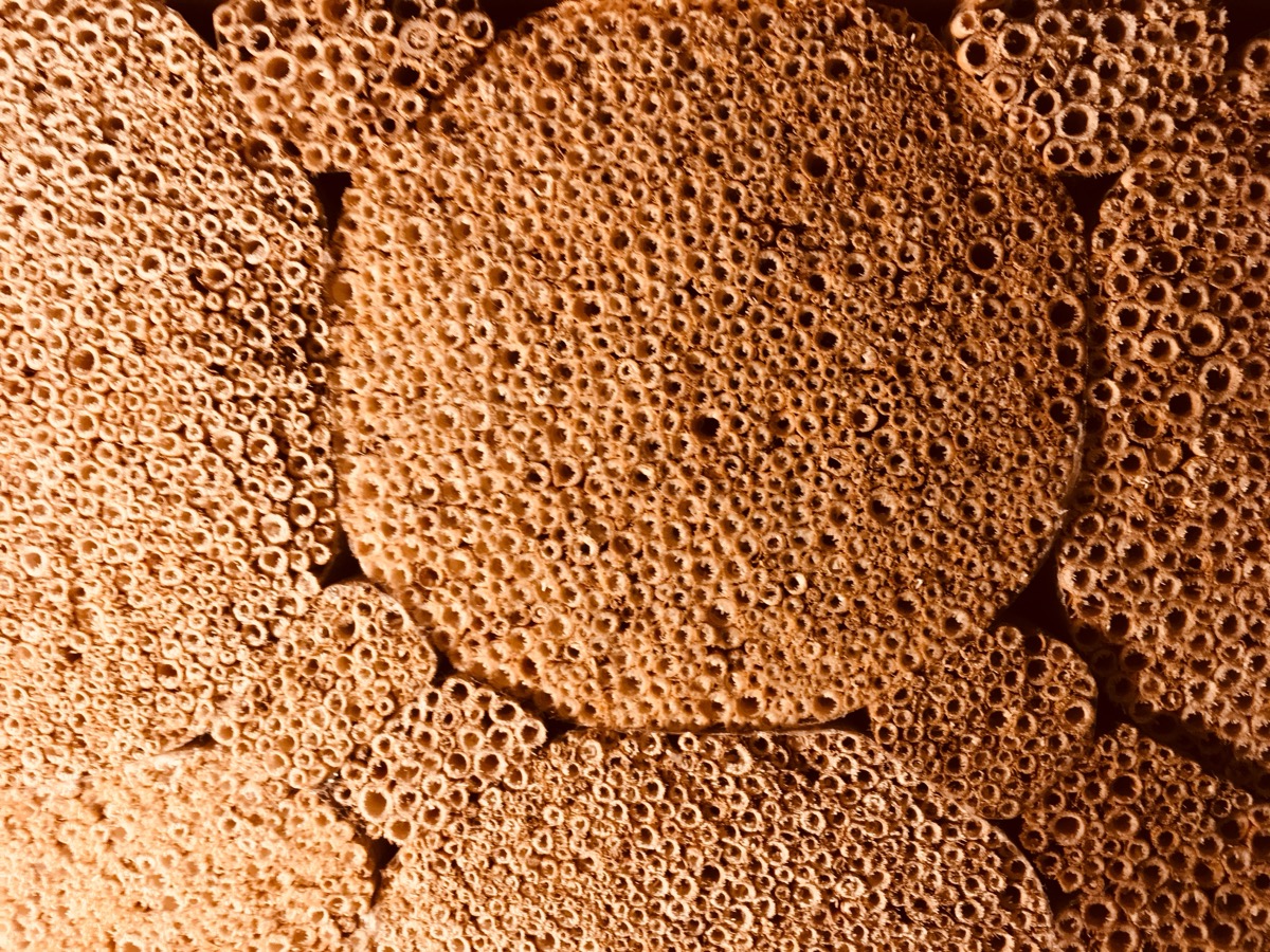 The Squirrel's Nest (Oravan Pesä) — image 8